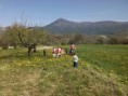 /album/gita-al-mercato-/img-20150413-110622-jpg/